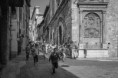 /album/cogli-lattimo/paolo-e9a2887-copia-2-jpg/